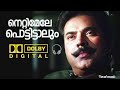 Nettimele Pottittalum Song Dolby Version