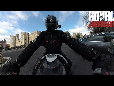 Daily Observations 214