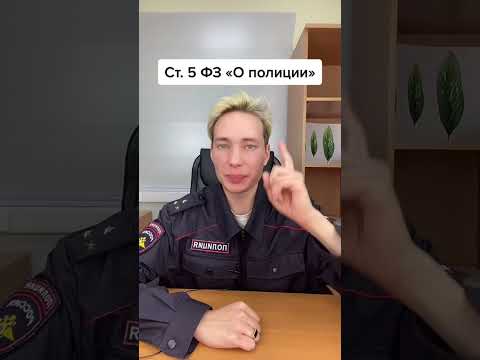 Может ли полиция просить документы? | pravoycedd