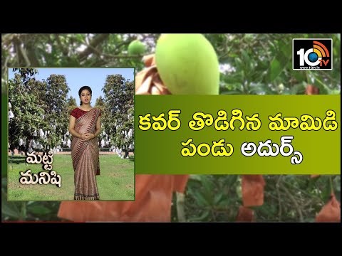 కవర్ తొడిగిన మామిడి పండు అదుర్స్