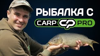 Ссылка