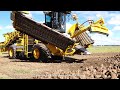 Ropa Maus 5 MAN Rübenverladung Loading Beets 2020