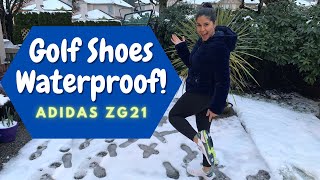 BEST Comfortable Waterproof Golf Shoe | Adidas Golf Shoes ZG21