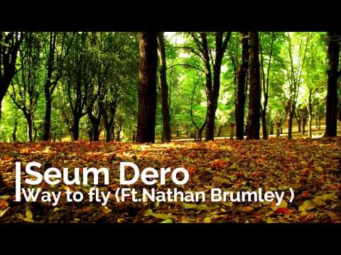 Seum Dero - Way To Fly (Ft. Nathan Brumley)
