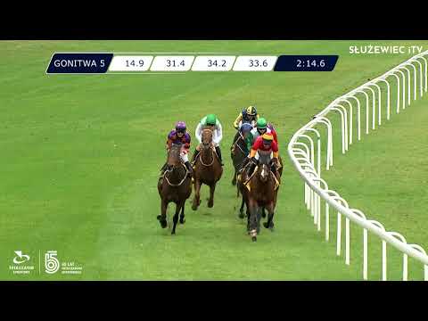 06.11.2021 (D48; G5; Tor: 3,4; 9°C) Nagroda Sac-a-Papier - (kat.B)