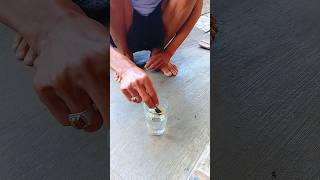 Download lagu Tes keaslian pusaka keris Semar mesem #shorts #mistis #semarmesem #viralshorts mp3 Download lagu Tes keaslian pusaka keris Semar mesem #shorts #mistis #semarmesem #viralshorts mp3