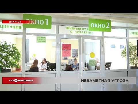 Почти 300 жителей Иркутска за один день обратились к медикам из-за укусов клещей
