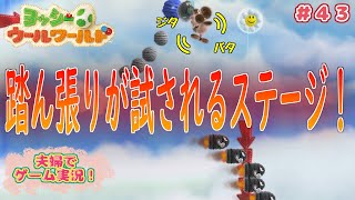 【夫婦実況】#43 あみぐるみ夫婦ヨッシーがコンプリートを目指す！！【実況プレイ】