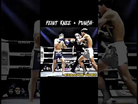 Feint Knee + Punch 🥊🔥 #shorts #ytshorts #tutorial #martialarts #mma #kickboxing #technique
