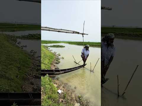 Old Irrigation System in Rural Bengal Paddy Field ... - YouTube