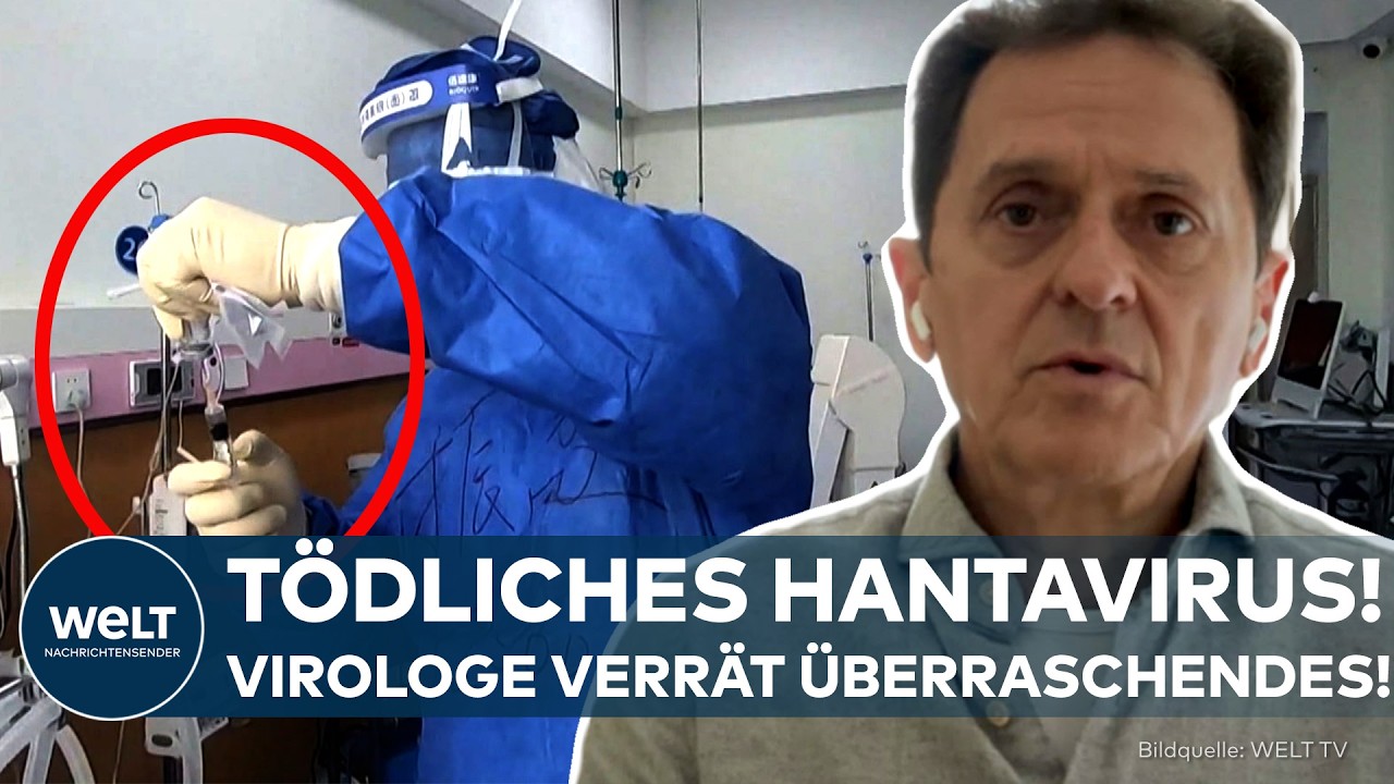 HANTA-VIRUS-AUSBRUCH: Tödlich und ansteckend! Geht Gefahr von der "Homnius" aus? Virologe analysiert