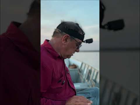 MUITA AÇÃO no Rio Tietê! Pescaria de Corvina em Borborema (GoPro na Cabeça)