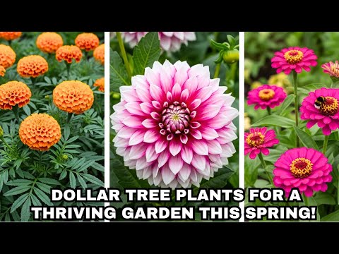 Garden Homes and Daily Garden Fix