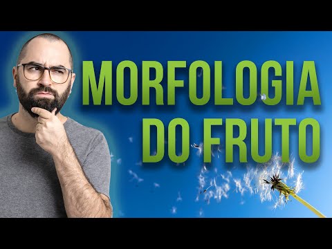 Organologia do Fruto (Morfologia) Parte 01 - Aula 20: Botânica (Prof. Guilherme)