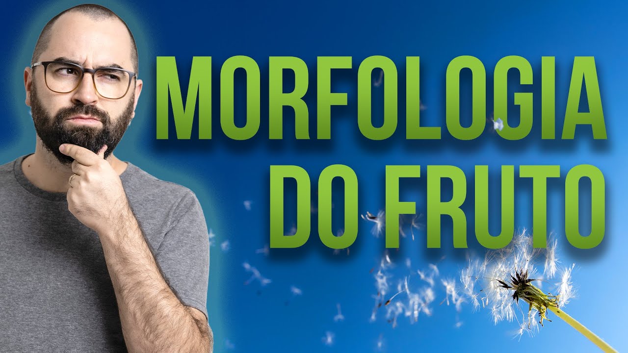 Organologia do Fruto (Morfologia) Parte 01 - Aula 20: Botânica (Prof. Guilherme)