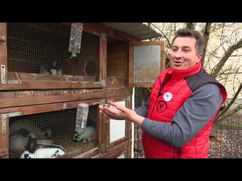 Elmedin Karabegović jedan je od najuspješnijih uzgajivača kunića u Jelahu