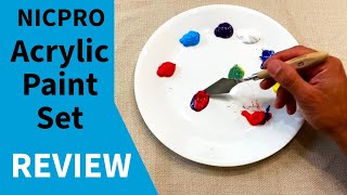 Test and Review of the NICPRO Acrylic Paint Set