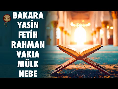Bakara, Fetih, Rahman, Vakıa, Mülk (Tebareke), Nebe, Yasin Suresi Kur'an-ı Kerim Dinle