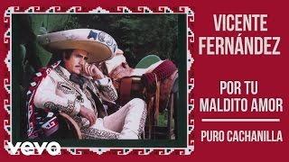 Vicente Fernández - Puro Cachanilla (Cover Audio)