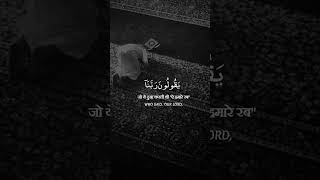 Download lagu Surah Al Muminun Ayah 109  | Qari Haithm aidokhin mp3 Download lagu Surah Al Muminun Ayah 109  | Qari Haithm aidokhin mp3