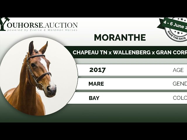 Moranthe @ show