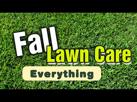 Everything YOU Need To Know About Fall Lawn Care