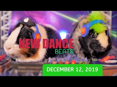 NEW DANCE BEATS EP. 31 - December 12, 2019