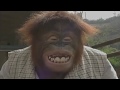 Very Silly Songs Except It S Widescreen And Reversed