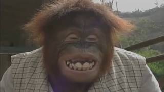 Very Silly Songs except it&#39;s widescreen and reversed