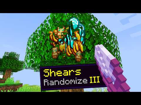 Minecraft, But There's Randomizer Enchant..