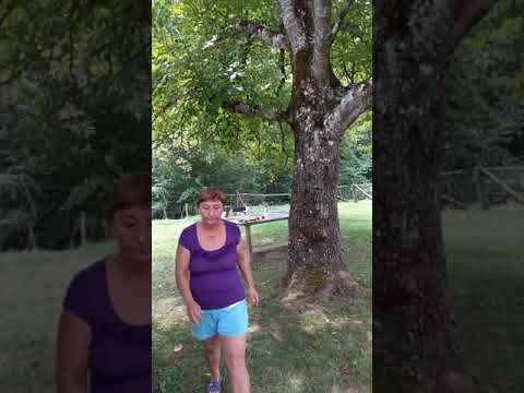 relaxare Radesti Arad