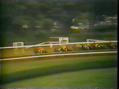 The 1970 Travers Stakes, won by Loud, Ruffian's part-time body double