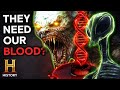 Dark Encounters Reptilians And Hidden Beings Ancient Aliens