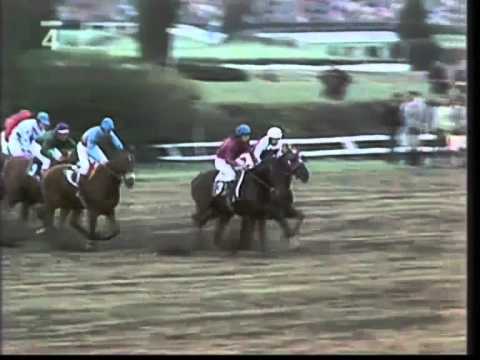 Velká Pardubická 1981 Sagar (Pavel Liebich)