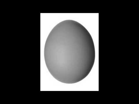 German Creepypasta - An Egg - Creep Out Folge 50 ( Deutsch / German )