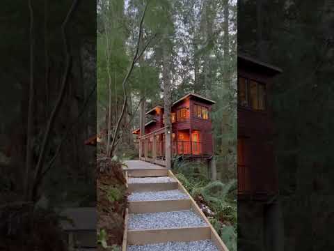 Dream house in the forest!