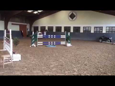 For Sale 2011 mare placed up to 120