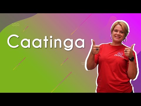 Caatinga - Brasil Escola