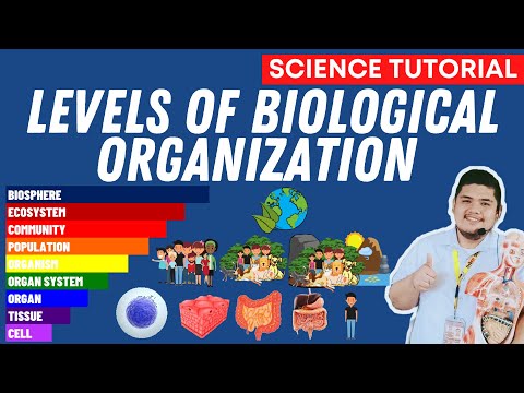 LEVELS OF BIOLOGICAL ORGANIZATION SCIENCE 7 QUARTER 2 MODULE 2 WEEK 3