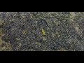 Enoue - Give It To Me Good / Pigeon Hole - Press Rewind