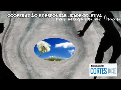 Cortes DcE #548 Cooperação e Responsabilidade Coletiva