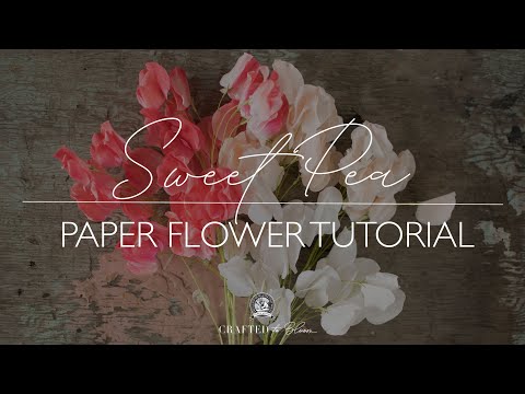 Crepe Paper Sweet Pea Flower Tutorial