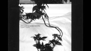 Sidsel Endresen & Stian Westerhus - The Rustle of a Long Black Skirt
