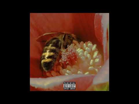 F RXSHXD & SLY N /// M15C3L4N34