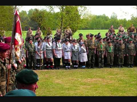 harcerska szara lilijka