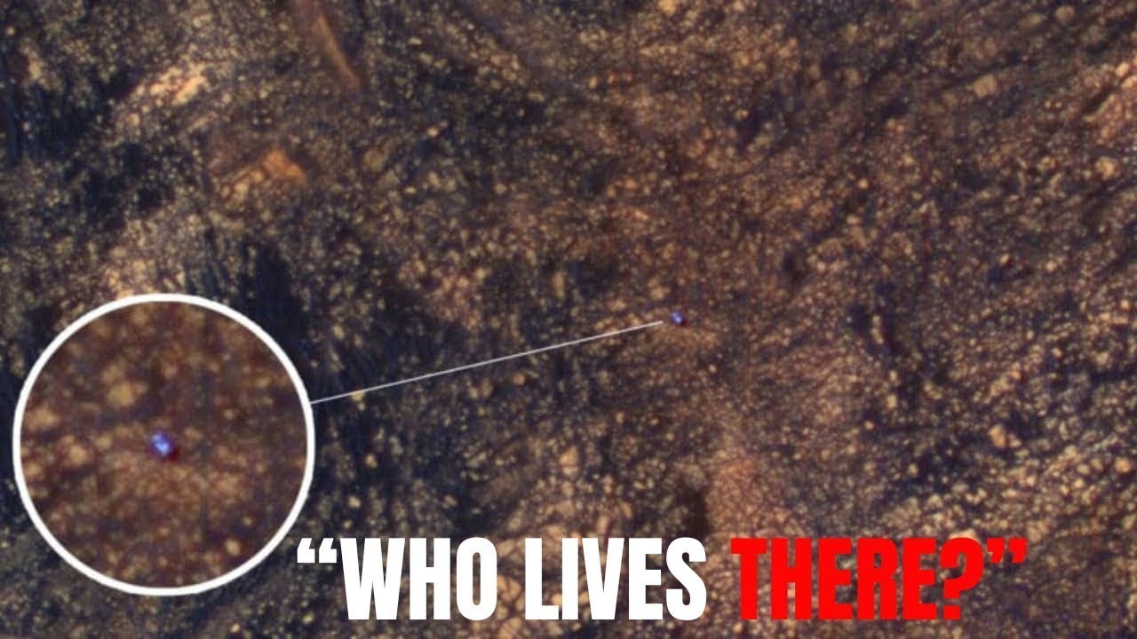 Neil deGrasse : Shocking Discovery: James Webb Telescope Spots Mysterious City Lights on Proxima B!