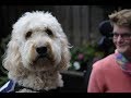 Buddy Official Trailer