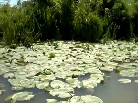 Excursie in Delta la Sf. Gheorghe - Pensiunea Ovidiu