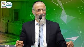 הרב מיכאל לסרי | תשעה באב 2025 - שידור חי (ראשון 13:30) (ארגון ענפים) - התמונה מוצגת ישירות מתוך אתר האינטרנט יוטיוב. זכויות היוצרים בתמונה שייכות ליוצרה. קישור קרדיט למקור התוכן נמצא בתוך דף הסרטון הרב מיכאל לסרי | תשעה באב 2025 - שידור חי (ראשון 13:30) (ארגון ענפים) - התמונה מוצגת ישירות מתוך אתר האינטרנט יוטיוב. זכויות היוצרים בתמונה שייכות ליוצרה. קישור קרדיט למקור התוכן נמצא בתוך דף הסרטון