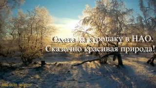 О рыбалке и охоте в ненецком округе